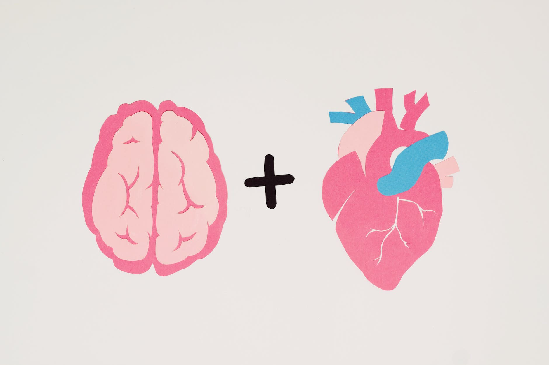 Why is it important to exercise the brain -The benefits of brain training