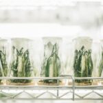 Photo The main subject of this article is the science behind effective memory retention through spaced repetition Keywords: spaced repetition, memory retention, science