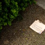 Photo The main subject of this article is problem-solving strategies and when to use analytical or intuitive approaches Keywords: problem-solving, analytical, intuitive