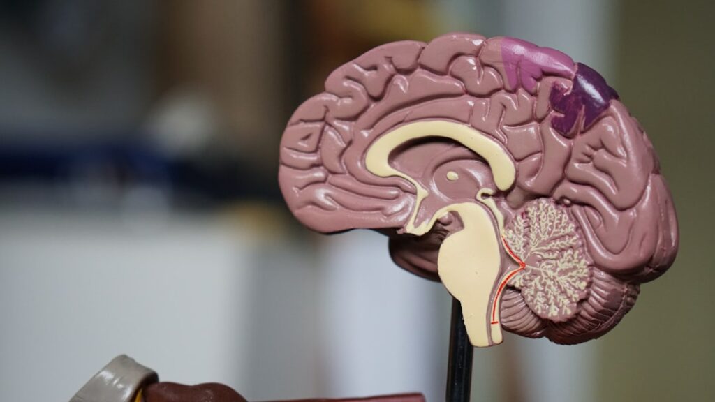 Photo The main subject of this article is mindfulness and meditation, specifically their benefits for reducing stress and improving brain function Keywords include mindfulness, meditation, stress reduction, and brain benefits