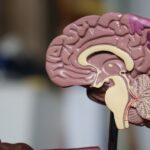 Photo The main subject of this article is mindfulness and meditation, specifically their benefits for reducing stress and improving brain function Keywords include mindfulness, meditation, stress reduction, and brain benefits