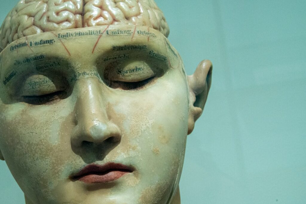 Photo Brain activity