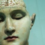 Photo Brain activity