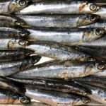 Photo Mediterranean cuisine
