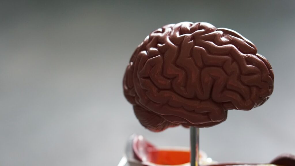 Photo Brain exercises