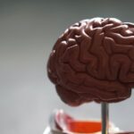 Photo Brain exercises