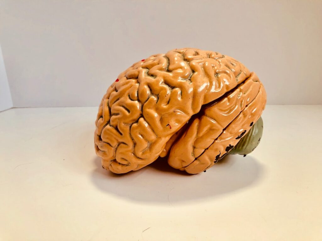 Photo Brain clock