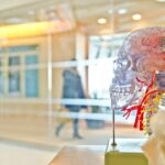 Photo Brain training