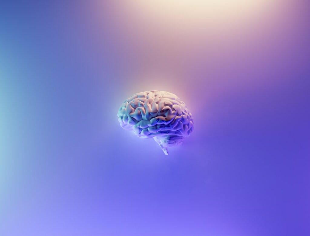 Photo brain, language, books, study, memory, neurons, bilingualism, cognition, immersion, culture, communication, vocabulary, grammar, pronunciation, fluency, education, linguistics, polyglot, immersion, practice