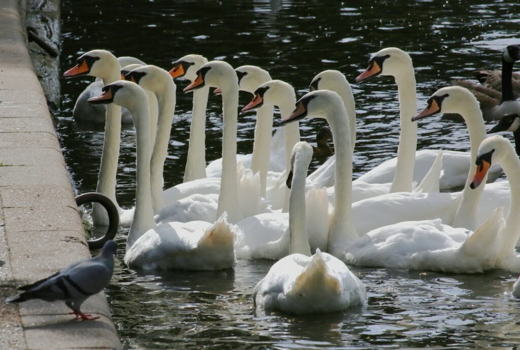 Photo Family gathering