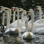 Photo Family gathering